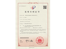 發(fā)明專(zhuān)利1